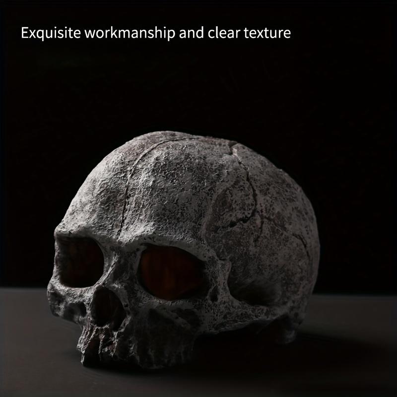 Amphibian Themed Aquarium Decorative Skull, ABS Resin, Reptile House Cave Decoration for Terrariums and Vivariums