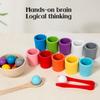 1 Set Wooden Color Sorting Cup Fine Motor Skills 10 Colors Ball Matching