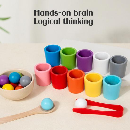 1 Set Wooden Color Sorting Cup Fine Motor Skills 10 Colors Ball Matching