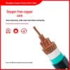 National Standard 0.6/1kV PVC Sheathed Flexible VVR Power Cable, 16-300 sq mm