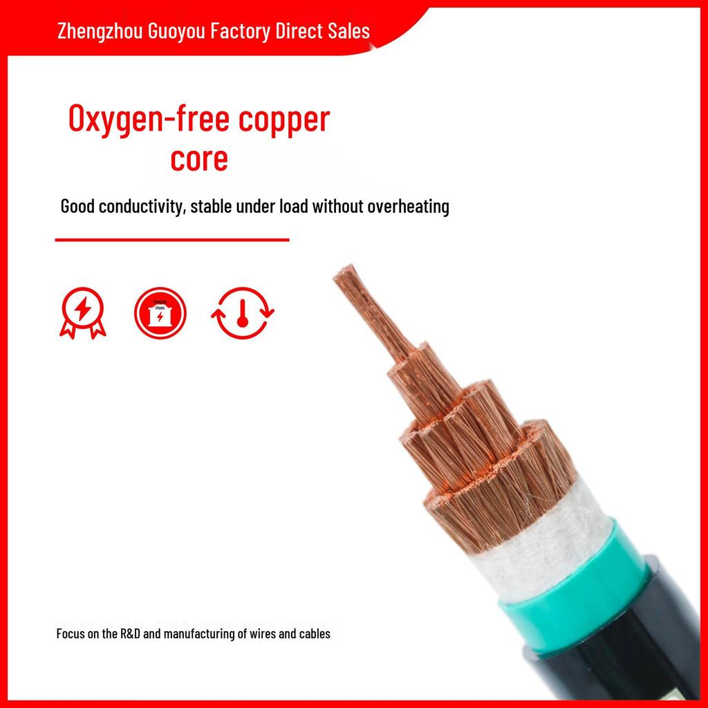 National Standard 0.6/1kV PVC Sheathed Flexible VVR Power Cable, 16-300 sq mm