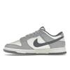 Nike Dunk Low SE Light Carbon Men Sneakers Grey FJ4188-100