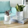 Self Watering Plant Pot Hydroponic Flower Pot Double Layer Plastic Flowerpot Cotton Rope Water-Absorbing Planter Garden Supplies