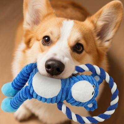 Chiens – Jouets pour chiens