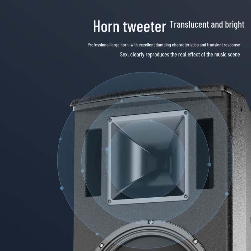 Huidu HT-101 Professional Wall-Mounted Speaker CN plug (adapter included)