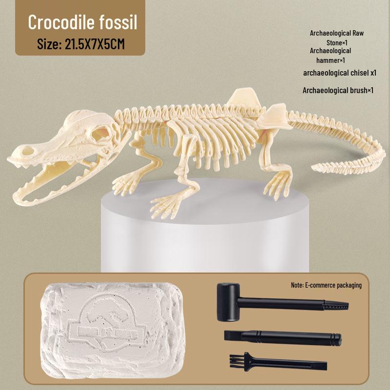 DIY Dinosaur Fossil & Gem Dig Kit: Children's Archaeological Treasure Hunt with Mermaid Theme