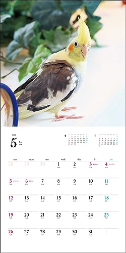 2024 Calendar Cockatiel (Seibundo Shinkosha Calendar)
