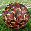 Ladybug Theme Size 5 Soccer Ball, Suitable for Both Indoor and Outdoor Matches, a Gift Suitable for Everyone.