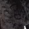 BH 7007 HANSA Black Panther 35