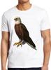 Bald Eagle Bird Wild Life Cool Gift Tee T Shirt M348