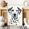 Plakat pies dalmatyńczyk