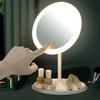 LED Makeup Mirror With Light Lamp With Storage Desktop Rotating Cosmetic Mirror Light Adjustable Dimming USB Vanity Mirror