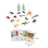 Montessori Animal Figures with , Language Materials, Realistic Figures, Toys for Preschool