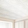 Ceiling Tiles 12-Pack 24 X 24 In PVC Easy Installation White Peg Pattern