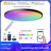 HomeKit Smart Ultra-Thin Ceiling Light with Siri Voice Control, WiFi Dimming & Color Adjustment