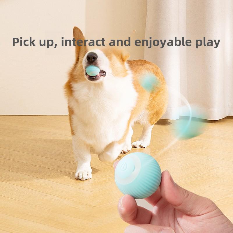 Zabawka dla psa zapobiegająca gryzieniu Automatyczna piłka Self-Hi na nudę Spacer z psem Piłka dla zwierząt Teddy Pomeranian Inteligentny teaser dla psa