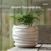 Elegant White Ceramic Flower Pot with Tray - Ideal for Ivy, Spider Plants, and Succulents