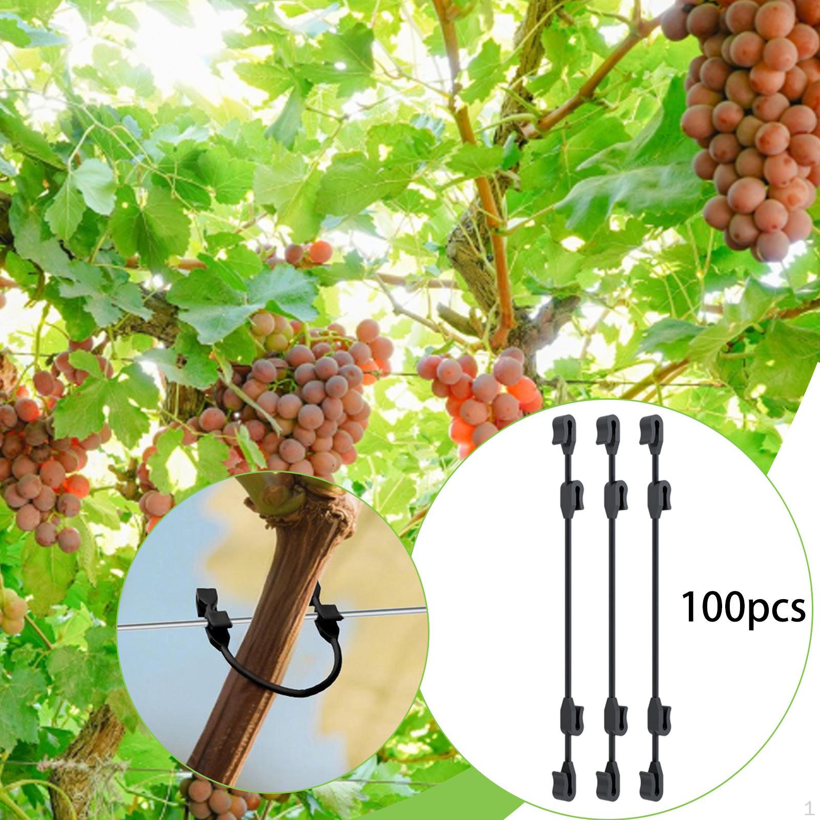 

100 штук регулируемых клипс-подвязок для виноградной лозы, подходят для проволоки 1,5-2,8 мм, универсальные, легкие, для фруктов,