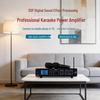 Tianlai 3-in-1 250W Bluetooth Karaoke Amplifier