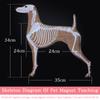 Pet Magnet Skeleton Picture Teaching Dog Magnetic Skeleton Wall Picture by Pet Beautician School 1