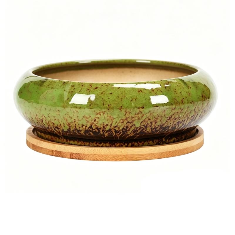 Round Shallow Ceramic Succulents Planter Bowl for Flower Succulents Cactuses Small Desktop Plant Container