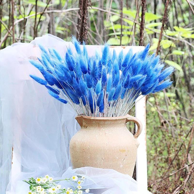 

Сушеная трава-хвост кролика, Искусственные цветы, Лагурус оватый, Натуральный декор из пампасной травы для дома, Свадебной вечеринки, Отеля 50pcs