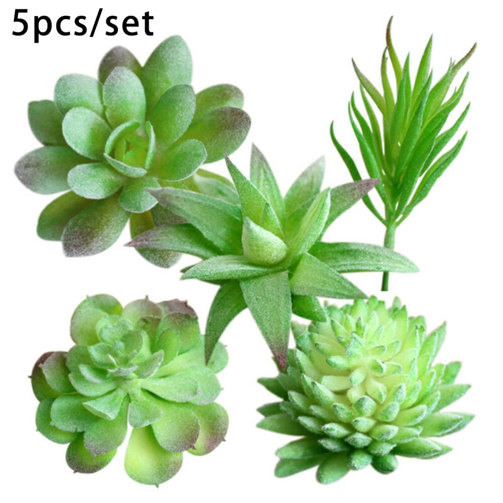 5pcs Mini Artificial Succulents Plant Fake Cactus Garden Home Office Decor Sets
