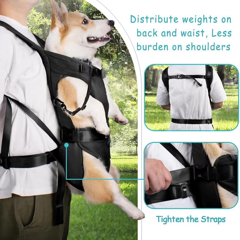 Hunde Transportrucksack Verdickter Schwamm Haustier Front Hunde Transportrucksäcke Outdoor Tragbar Verstellbar Freihändig Hunde Rucksack