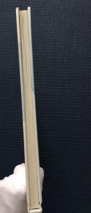 [USED] English Picture Book Rupert Bear RUPERT BEAR