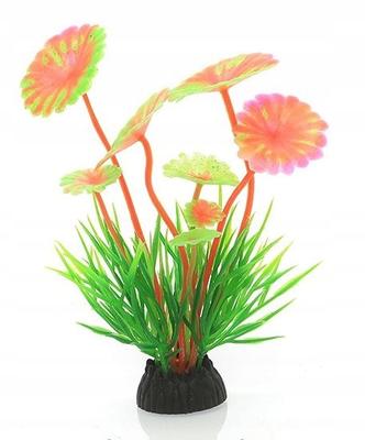 Poissons et animaux marins – Décoration d’aquarium