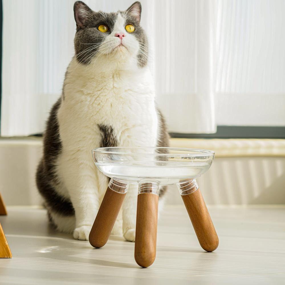 New Transparent Cat Bowl Large Capacity Removable Dog Food Bowl with Stand Pet Food Container for Neck Protection