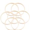 12Pcs Dreamcatcher Ring 10Cm Bamboo Hoop for Crafting Dream Catchers Curtain Ringers Lace Frames DIY Jewelry Display