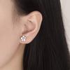 PRIVIE Cherry Blossom 925 Korean Metal Refined Daily Use Women's Earrings, Flower, Pink, Silver, Cute, Stylish, Popular, Fashion, Hypoallergenic,
