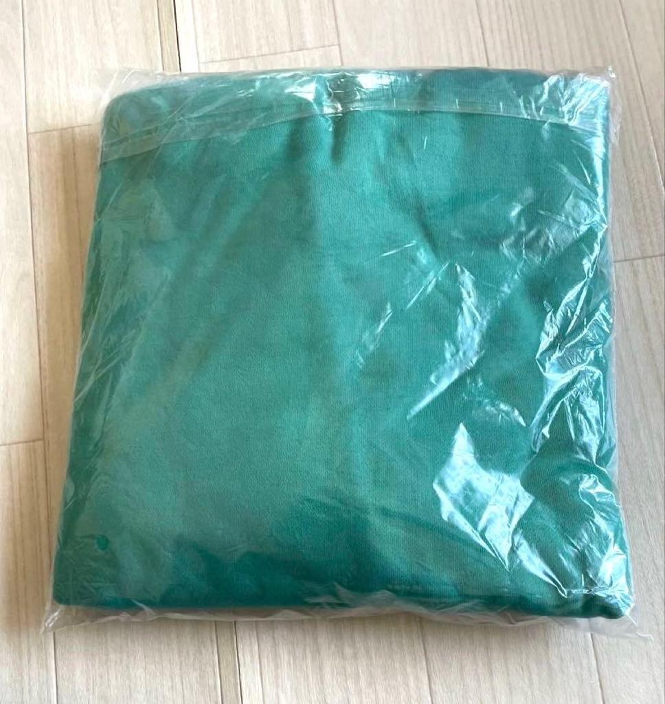 [USED] LYOASOBI Crew Neck Pullover Green Sweatshirt