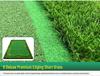 PGM Indoor Golf Putter Trainer with Artificial Green