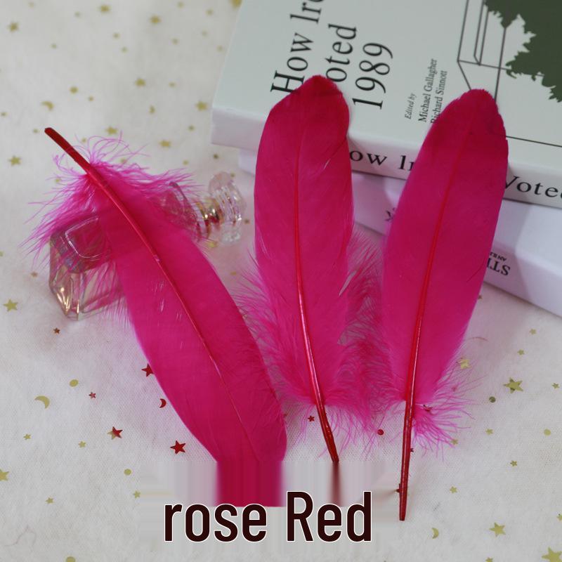 Barevná barvená velká husí pera pro DIY řemesla, ručně vyráběné dekorace a projekty pro mateřské školy