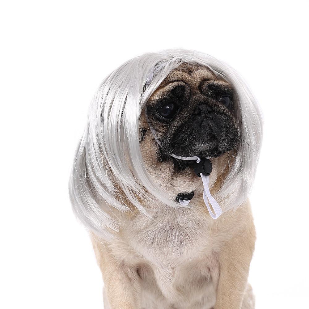 Adorable Pet Wig With Bangs For Dogs And Cats In Vibrant Colorful Options For Parties