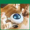 Pet Toy Rotating Ufo Electronic Cat Teaser With Plastic Disc For Indoor Play