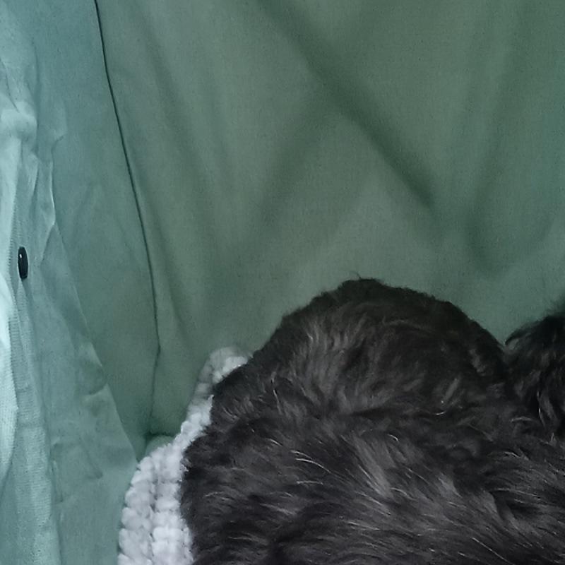 2025 New Multifunctional Pink Folding Bike - Portable Outdoor Vehicle