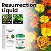 Enracinement pour boutures, Activateurs de croissance des plantes - Stimule les hormones d'enracinement et améliore la croissance des boutures avec spray fertilisant 0 ml