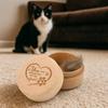 Portable Wooden Pet Hair Keepsake Box Custom Design Paw Print Pet Hair Memorial Box Small Size Pet Ashes Container Hair Storage