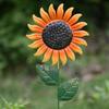3Pcs Cartoon Flower Garden Stake Ornaments Handmade Metal Flower Ornament Succulent Plant Card  Lawn