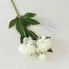 Peony Rose Artificial Flowers for Home and Wedding Décor 
