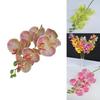 Artificial Phalaenopsis Orchid 3d Printed Realistic Multi Stem For Home Wedding Decor