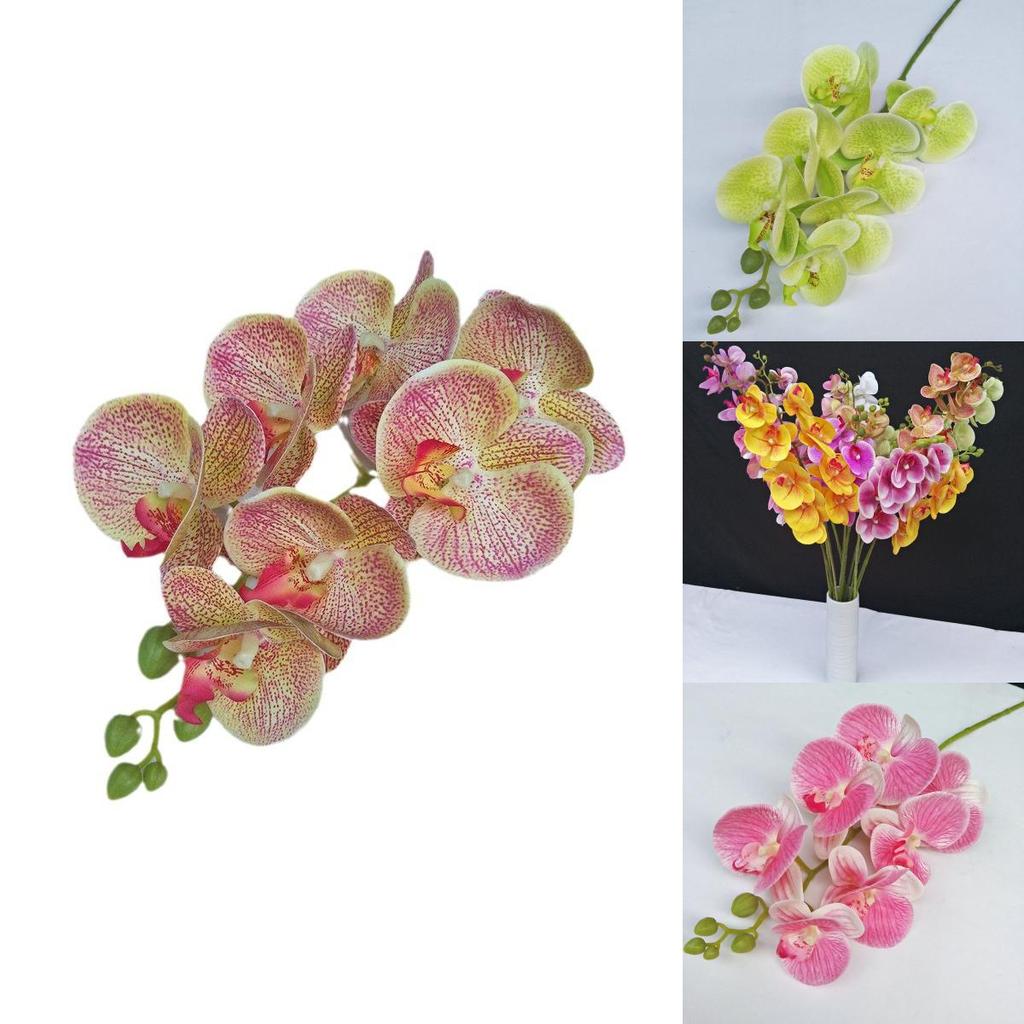 Artificial Phalaenopsis Orchid 3d Printed Realistic Multi Stem For Home Wedding Decor