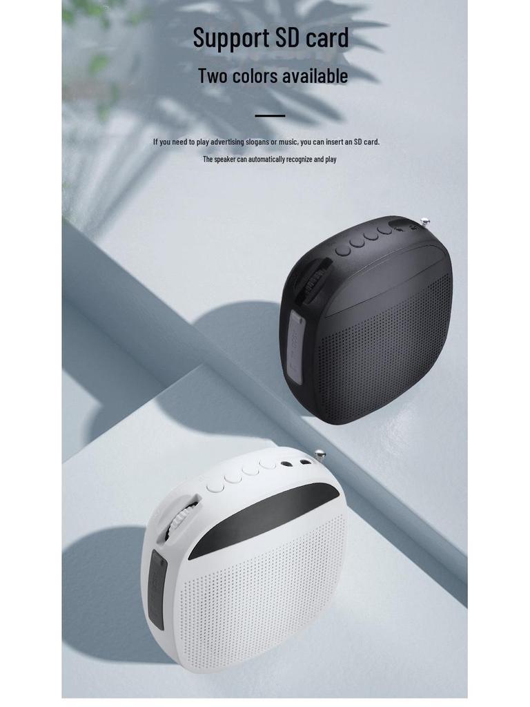 Alto-falante Sem Fio Portátil Little Bee com Microfone de Lapela para Professores e Eventos de Dança