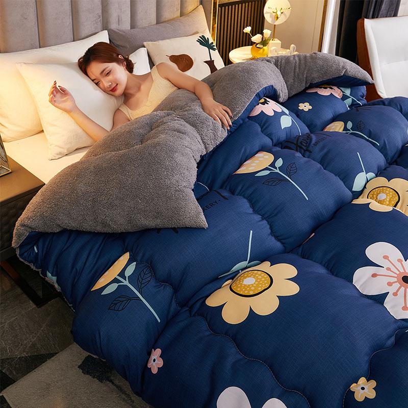 Winter 5Kg Lamb Velvet Quilt Dormitory Single Double Home Hotel Quilt Core 1.5M Thickened 1.8M Luxury Comforter Super Warm Quilt