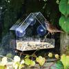 Acrylic Bird Feeder Window Mount Clear Design for Outside Hanging Large Viewing Area Easy Refill for Garden Backyard Bird Watching