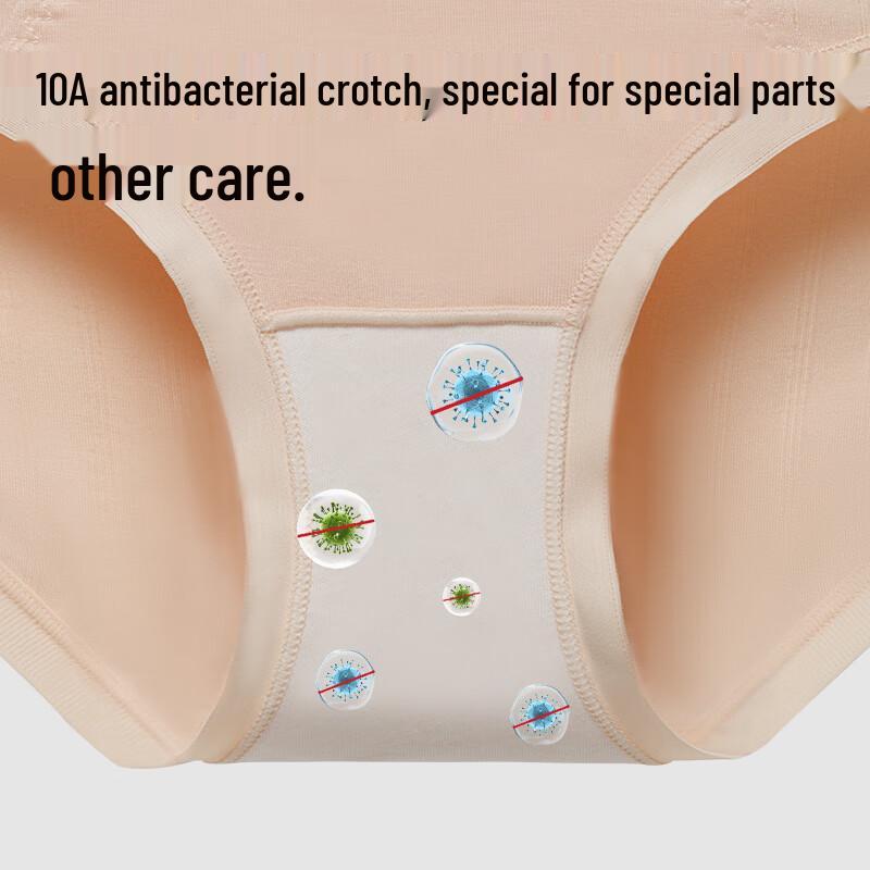 MIIOW Women's Modal Antibacterial High-Waist Briefs (3-Pack)