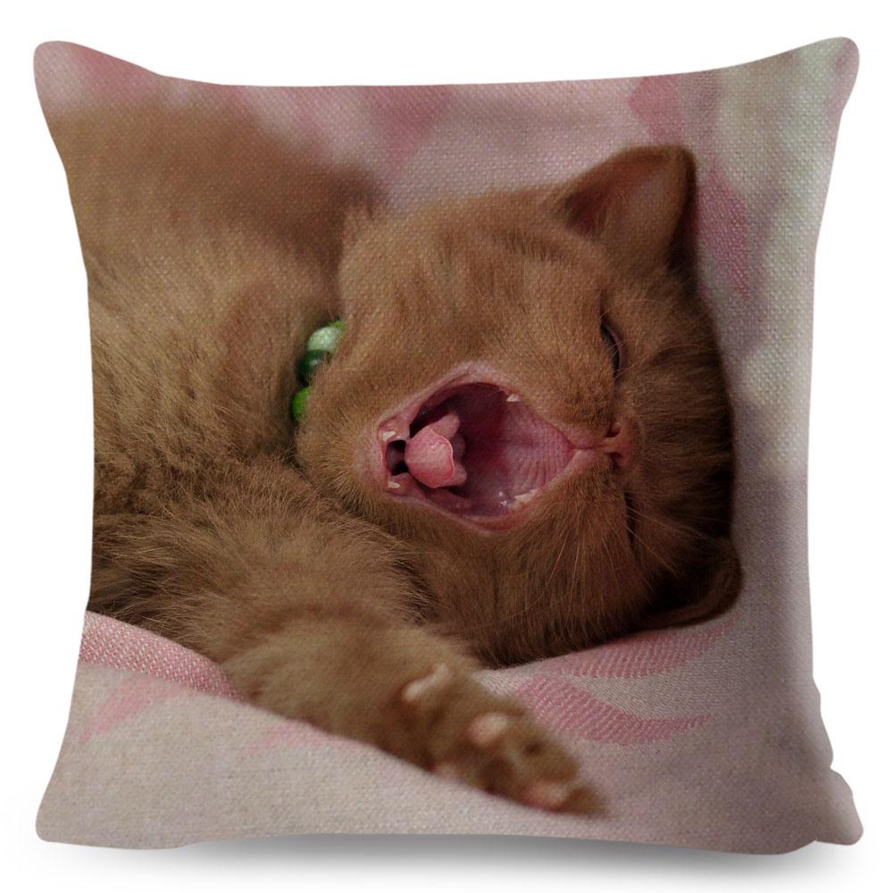 Housse de coussin British Shorthair bleu russe, taie d'oreiller en Polyester, décoration de chat mignon, Animal de compagnie, pour canapé, maison, voiture